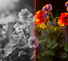 Photo Color Restoration AI tool